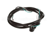 18605-0022 Carter Hoffmann 12/3 Sto Cord 11'Ft Cord W/Nem