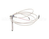 18616-0102 Carter Hoffmann Rtd Sensor Probe