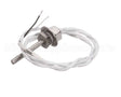 186160137 Compatible Carter Hoffman Probe 3/16 X 1.5 X 36