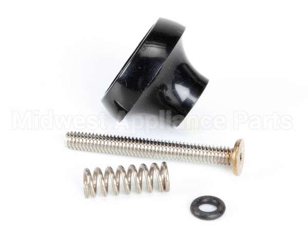 188631 Saniserv Pressure Relief Valve Kit