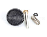 188631 Saniserv Pressure Relief Valve Kit