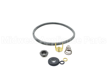 189174LF Xylem-Bell & Gossett Seal Kit