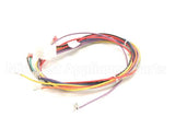 18928 Blodgett Harness, Wiring Inf/8/3/1 Stp
