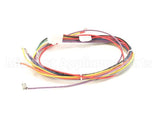 18928 Blodgett Harness, Wiring Inf/8/3/1 Stp