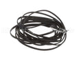 18NBNTC5FT Wasserstrom Sensor