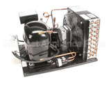 19003221 Franke Condensing Unit 115V/60Hz W/Co