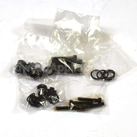 190591GS Briggs & Stratton Kit-Check Valve