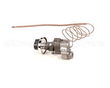 190700 Low Temp Industries Thermostat,Gas(Bjwa)