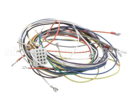 19303 Blodgett Harness, Wiring Inf/8/3/1 Stpt