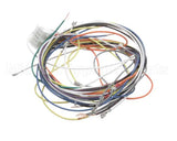 19303 Blodgett Harness, Wiring Inf/8/3/1 Stpt