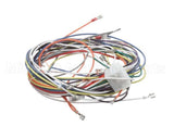 19303 Blodgett Harness, Wiring Inf/8/3/1 Stpt