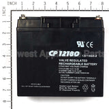 193043GS Briggs & Stratton Battery
