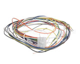 19306 Blodgett Harness, Wiring Control Comp