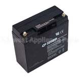 193463GS Briggs & Stratton Battery