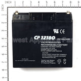 193463GS Briggs & Stratton Battery