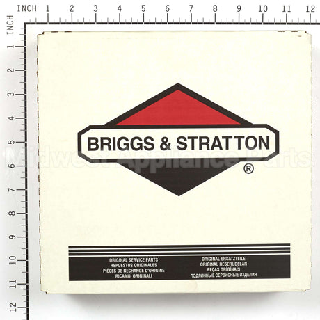 199629GS Briggs & Stratton Seal-Foam