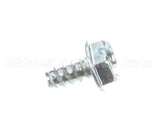 889 Globe Self Tapping Screw