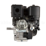 19N132-0019-F1 Briggs & Stratton Engine Packed Single Carton