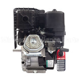 19N132-0051-F1 Briggs & Stratton Engine Packed Single Carton