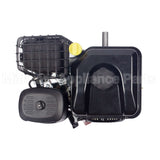 19N132-0055-F1 Briggs & Stratton Engine Packed Single Carton