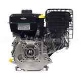 19N132-0055-F1 Briggs & Stratton Engine Packed Single Carton