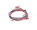 1068425 Frymaster Wire Assembly,Temp Control To Interf