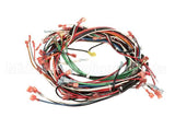 R13035 American Range Harness,Wire Arofe/Arosge Wall