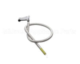 2-846SPRING Continental Refrigeration Spring, Sgd/Frame 17" Gold