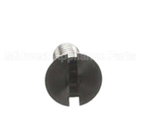 200101 Robot Coupe Screw Tf M4X10 St/Less