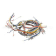 20018 Compatible Blodgett Harness Wiring Inf 2Sp