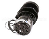 2008949 Manitowoc Ice Water Pump 230/50/1