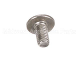 2011038 Vollrath Screw Thmss 10-32X 3/8