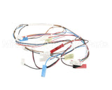 20116901 Amana Menumaster Harness-Oven 50