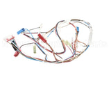20116901 Amana Menumaster Harness-Oven 50