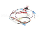 20116901 Amana Menumaster Harness-Oven 50