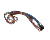 20138 Gaylord Uv Module/Ballast Wiring Harn