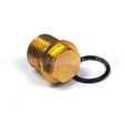 201495GS Briggs & Stratton Plug
