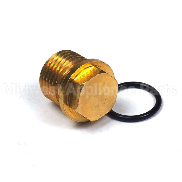 201495GS Briggs & Stratton Plug