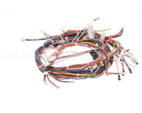 20161501 Amana Menumaster Harness-Oven