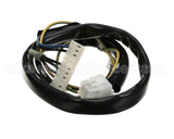 2019691 Giorik Harness, Ignition, Module, Gas, Evo, Sb