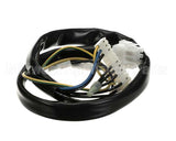 2019691 Giorik Harness, Ignition, Module, Gas, Evo, Sb