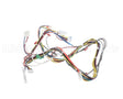 20292101 Amana Menumaster Harness-Lv