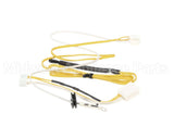 204000032 Rinnai Thermistor Kit