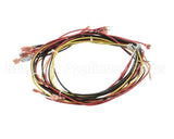 20444 Blodgett Harness, Wiring W/Cook