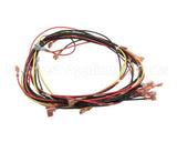 20444 Blodgett Harness, Wiring W/Cook