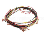 20444 Blodgett Harness, Wiring W/Cook