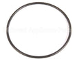 20459 Blakeslee O Ring Belt