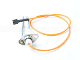 204611 Reznor Electrode Assembly