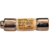 20637 Compatible Power Soak Systems Fuse, 30A 600V