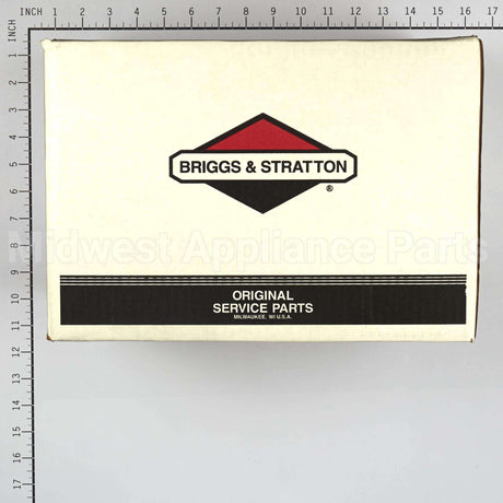 206376GS Briggs & Stratton Pump